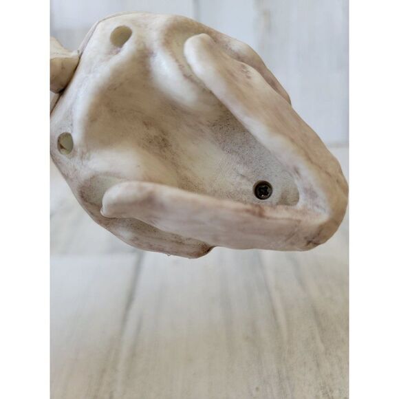 Crazy bonez Seasons cat skeleton Halloween props scary - Picture 8 of 8